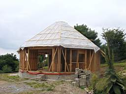 tullahemp 1520.JPG